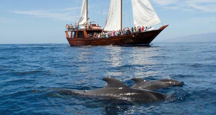 Ocean House & Perfect For You Адехе Екстериор снимка